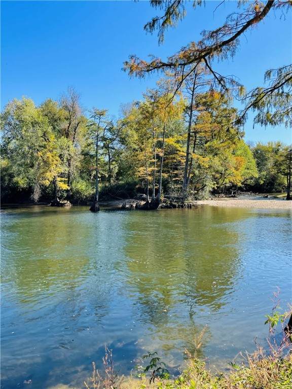 46 Grand Cypress Trail - Photo 1