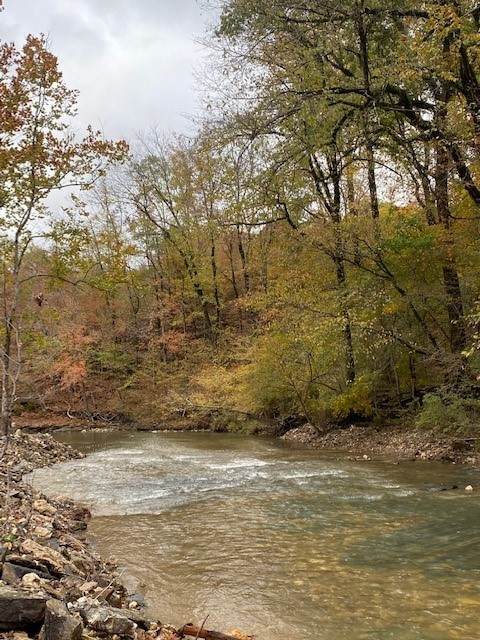 Hidden Pines Loop - Photo 1