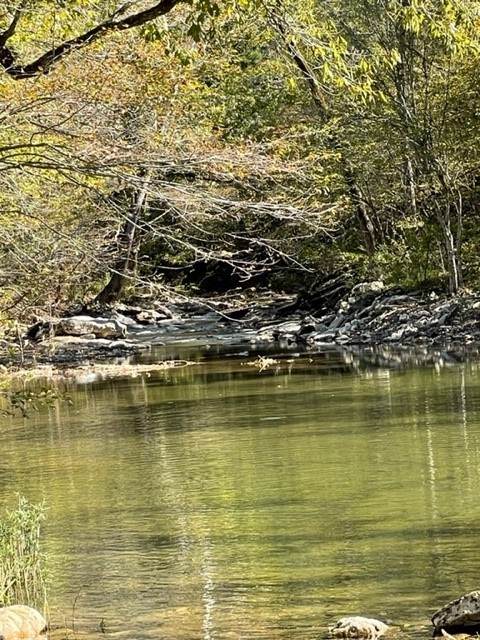 Hidden Pines Loop - Photo 1