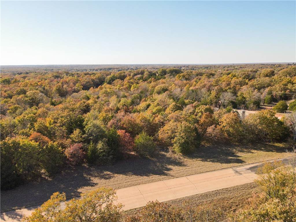 30002 Old Highway 18 Highway - Photo 1