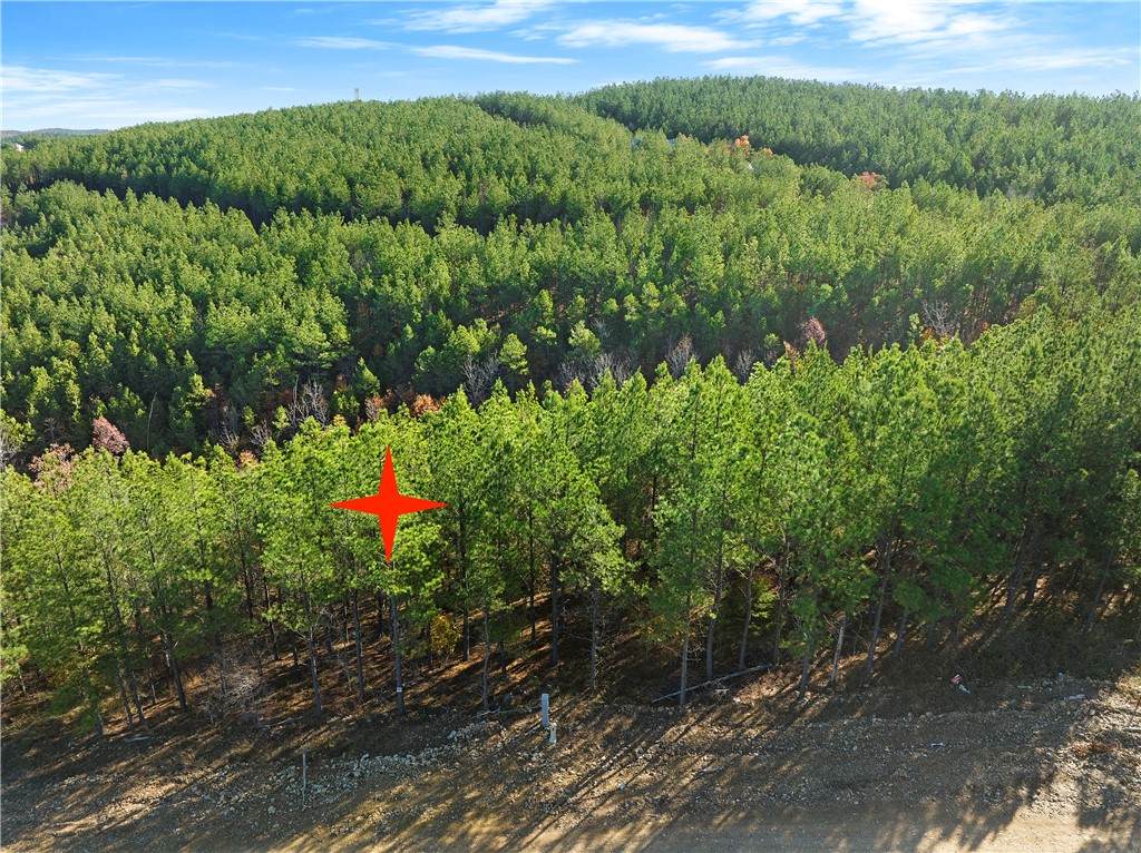 101 Sierra Vista Trail - Photo 1
