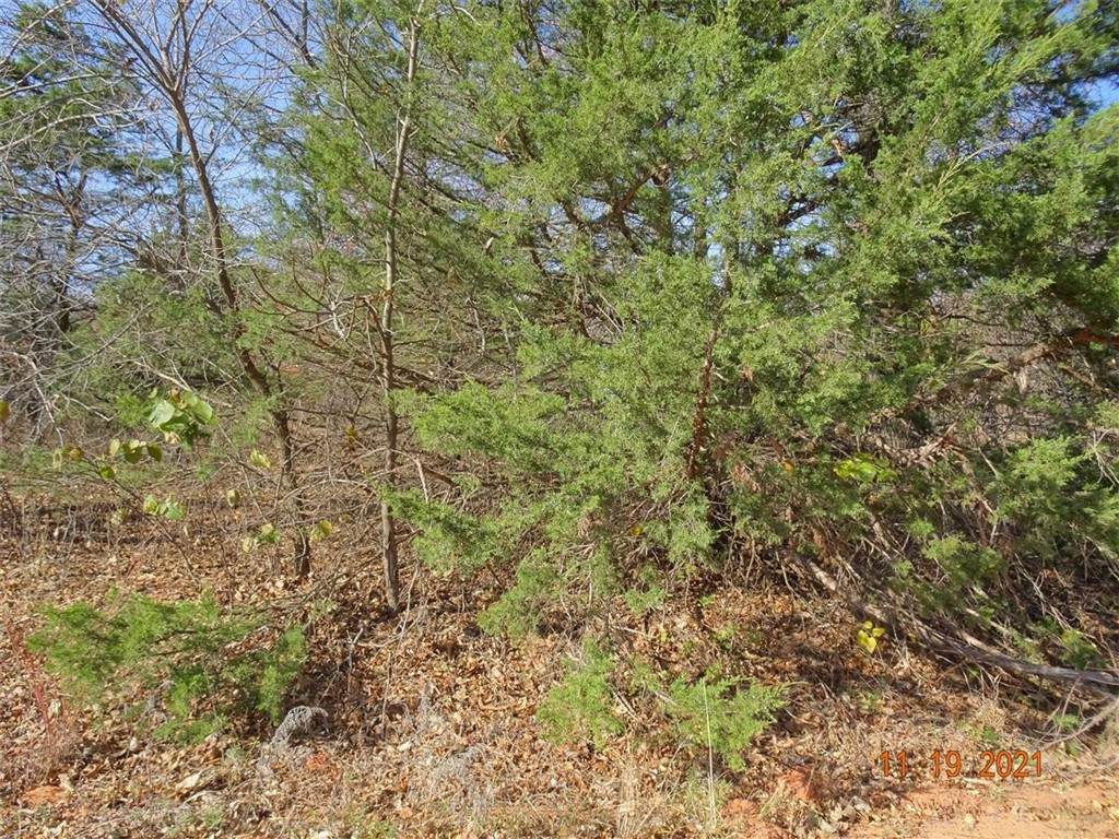 8300 139th Street - Photo 1