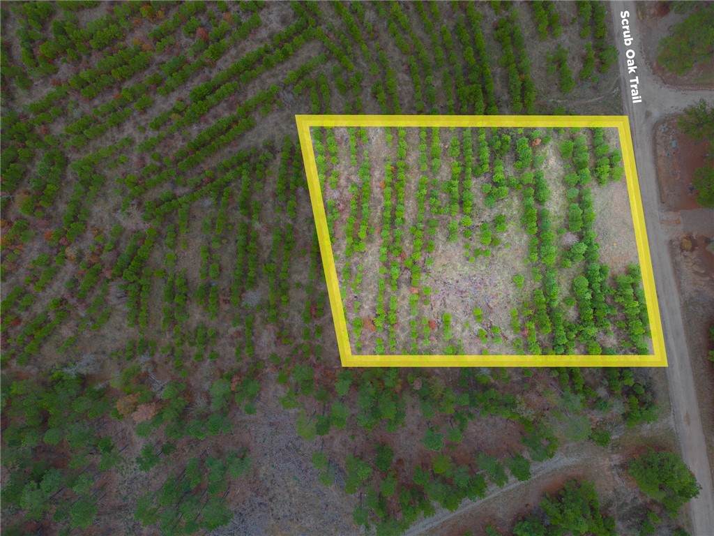 257 Southern Sunrise - Photo 1