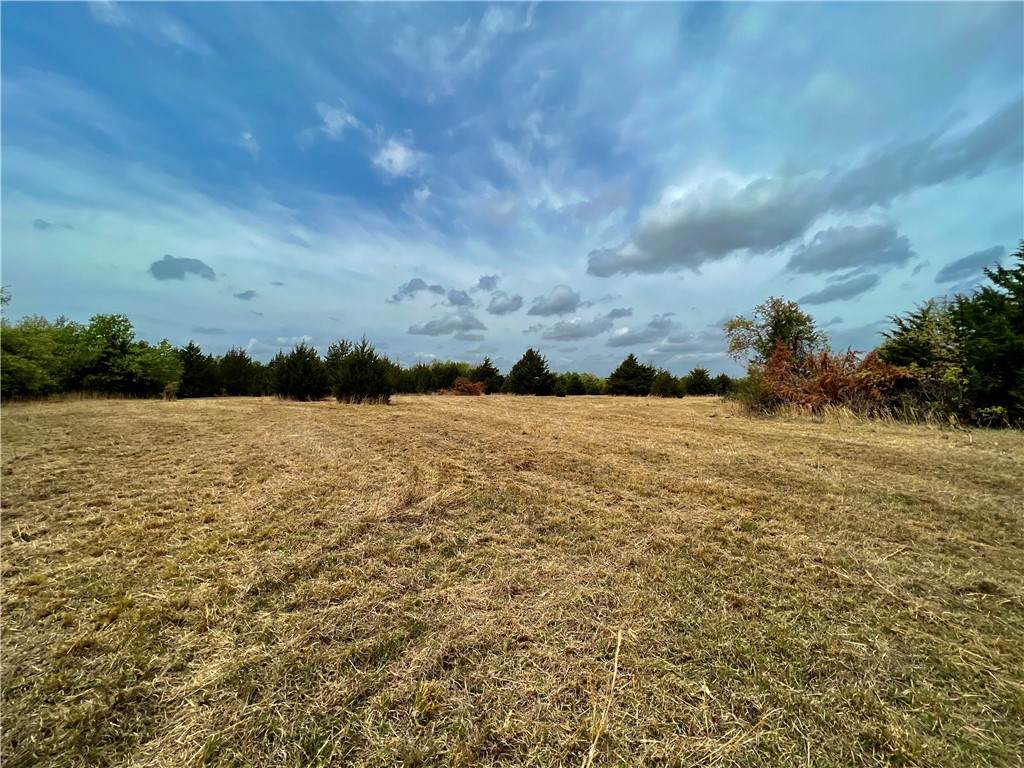 000 Timber Oak Road - Photo 1