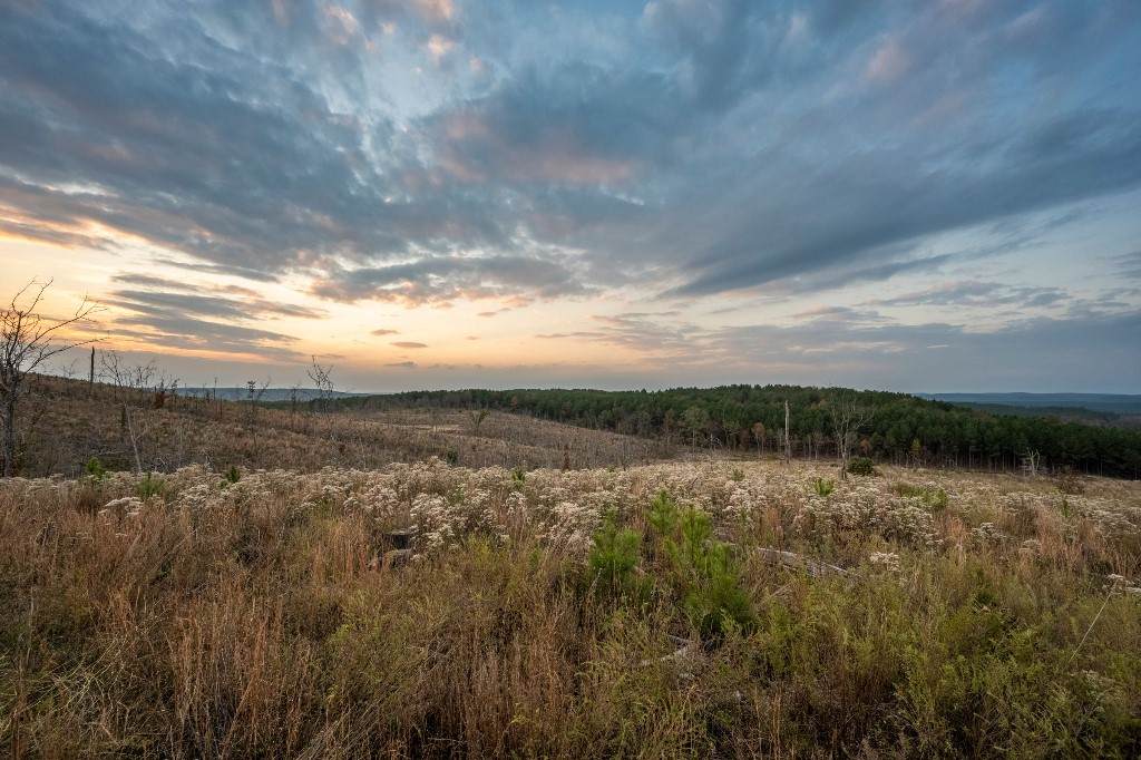 227 Woodland Ridge - Photo 1