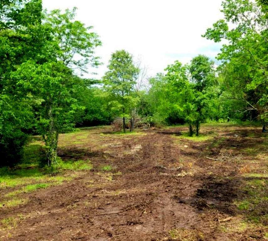 100 Sapphire Ridge - Photo 1
