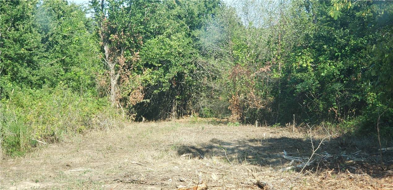 000 Piney Creek Road - Photo 1