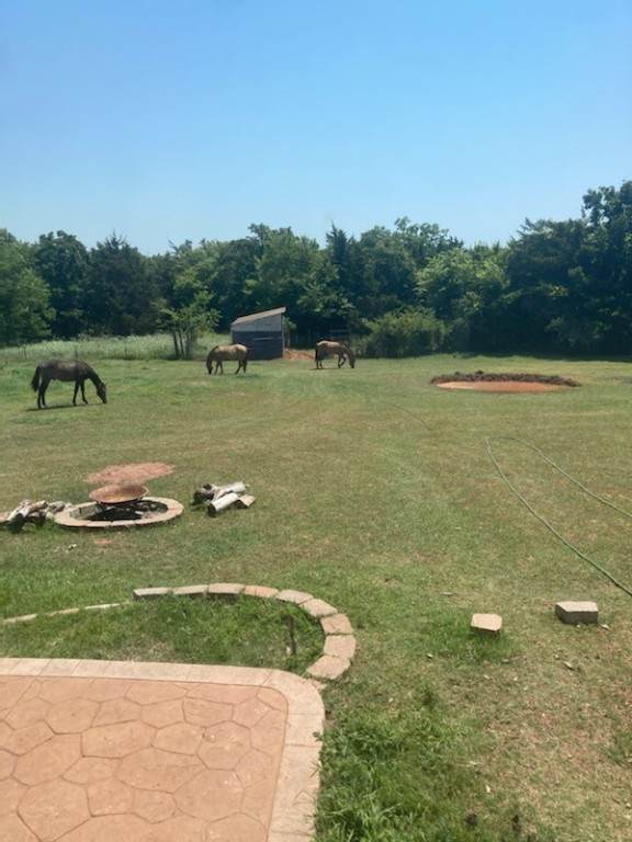 13400 Cedar Hill Road - Photo 1
