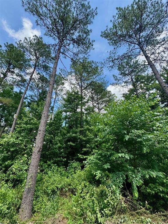 125 Pawpaw Trail - Photo 1