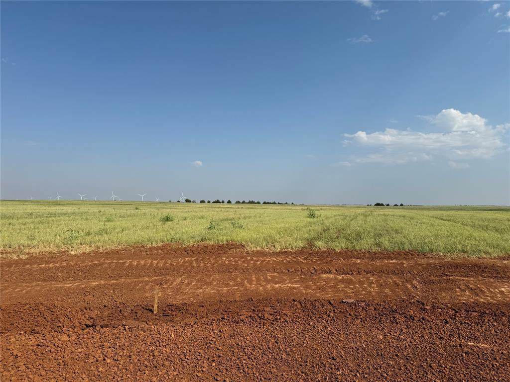  White Horse Lane - Photo 1