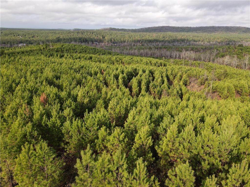 288 Sierra Vista Trail - Photo 1