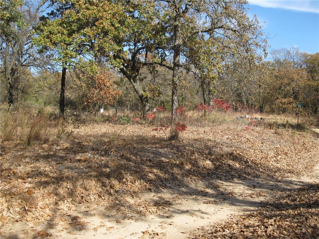 1619 White Oak - Photo 1