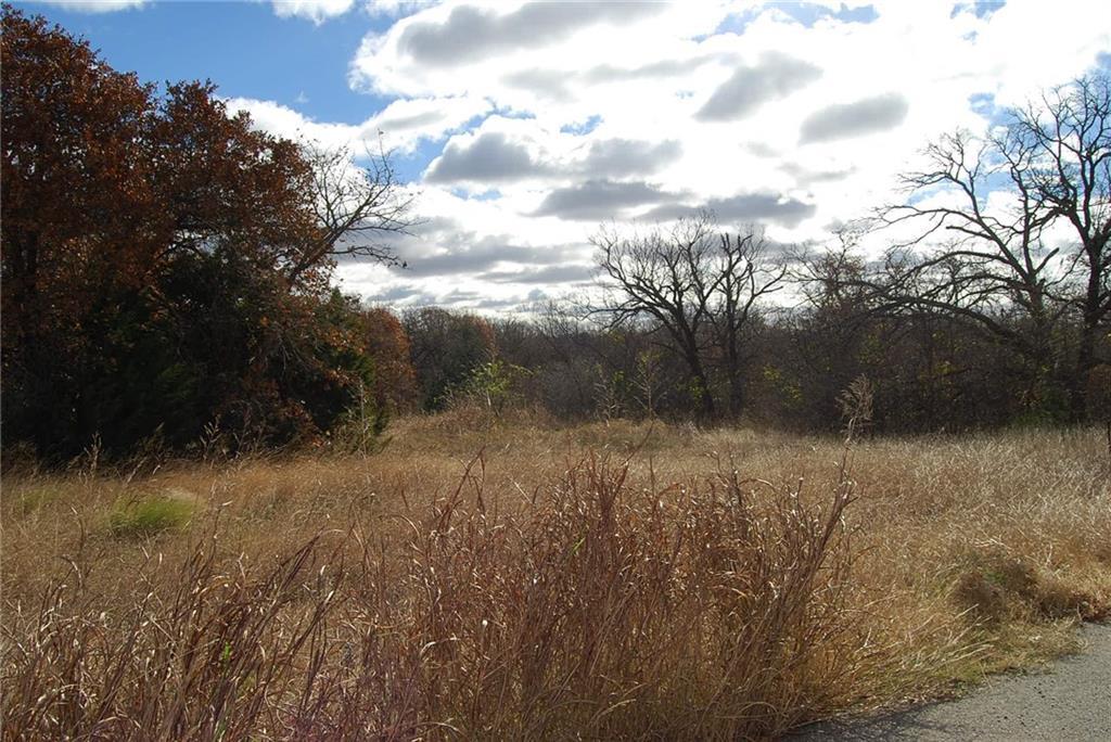2286 County Road 1312 - Photo 1