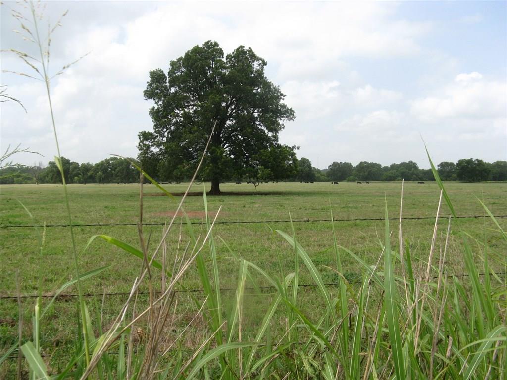 338124 920 Road - Photo 1
