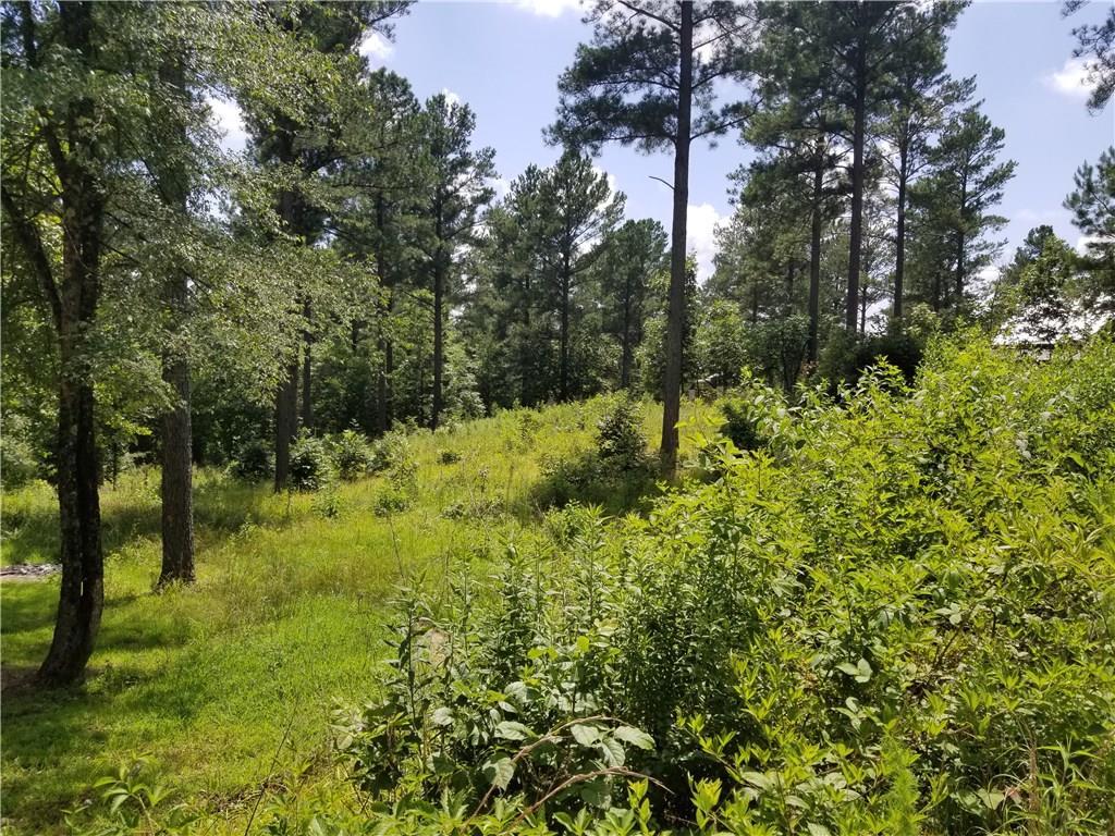 Coffee Tree Trail - Photo 1