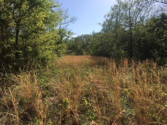 1180 Road - Photo 1