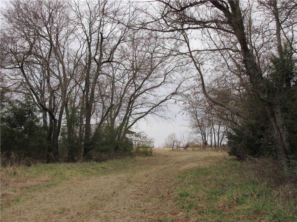 Chestnut Road - Photo 1