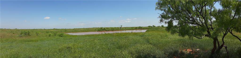 County Rd 233 Road - Photo 1
