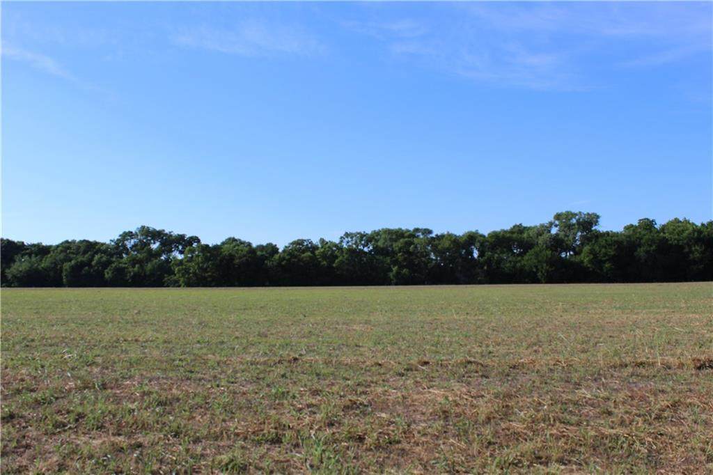 Garrett's Lake Tract 6 Road - Photo 1