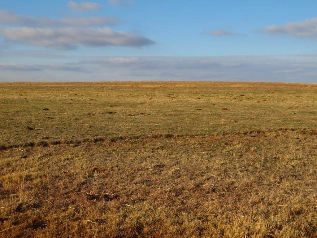 Rural Butler - Photo 1