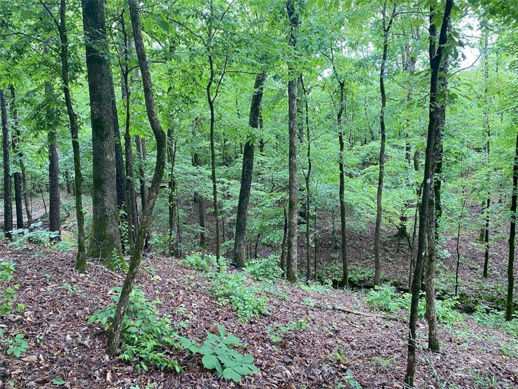 Hidden Pines Loop - Photo 1