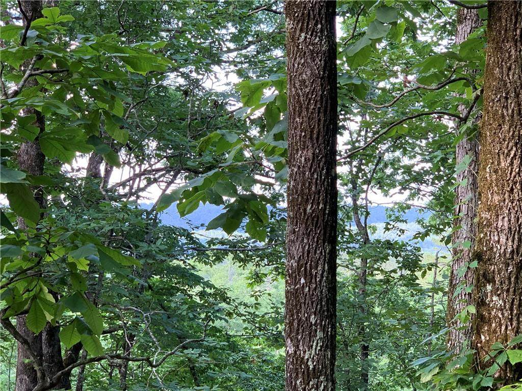 Moonshine Springs Road - Photo 1