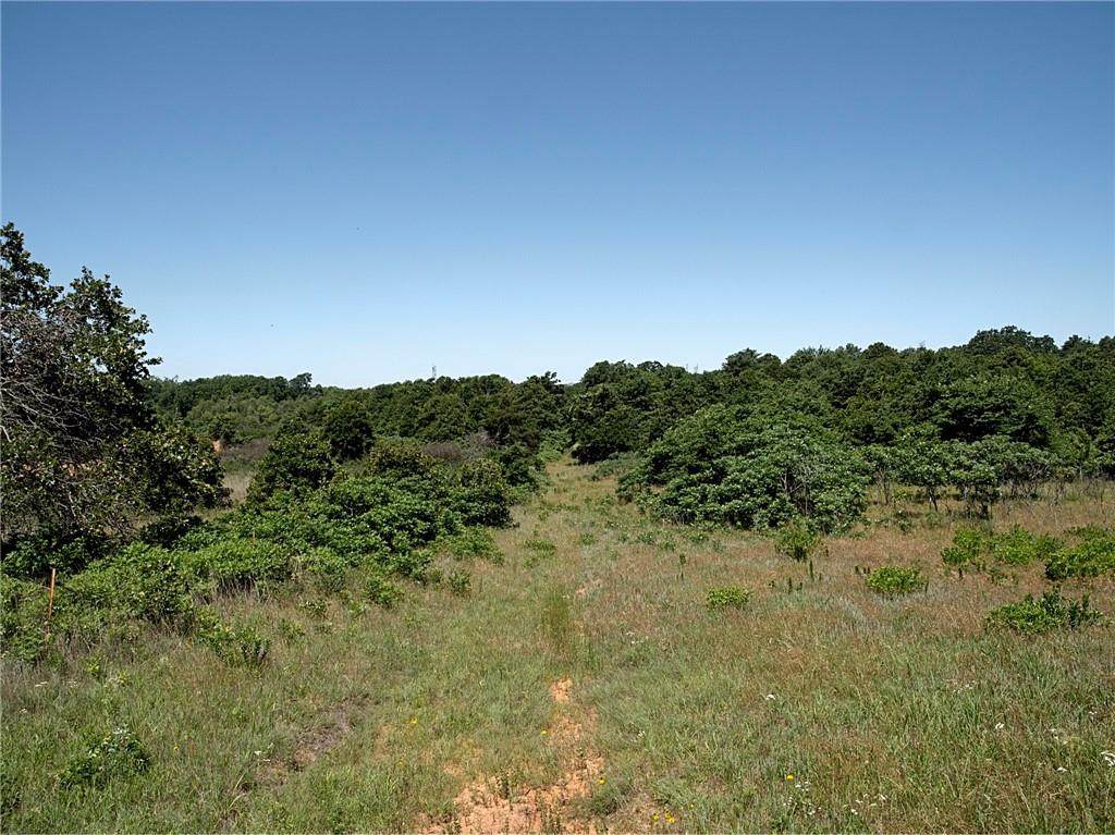 12509 Anderson Road - Photo 1