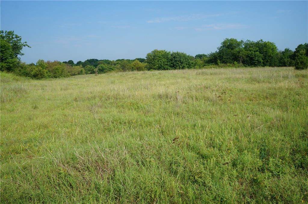 00 100 Acres Mol - Photo 1
