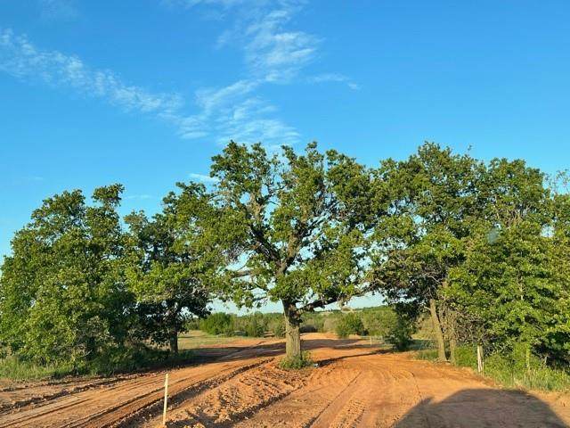 2000 Sky Trail Circle - Photo 1
