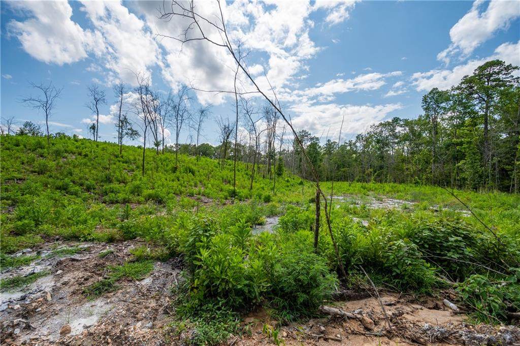 Lot 103 Limp Limb Court - Photo 1