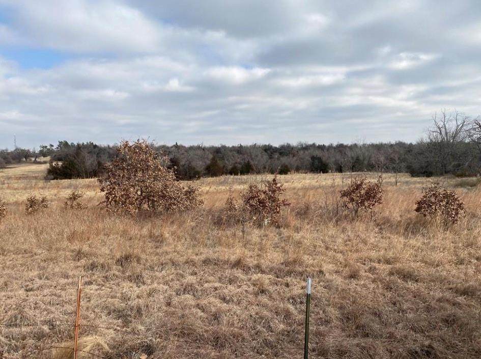 County Line Road - Photo 1