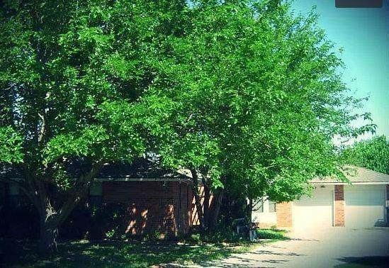 9507 Ritter Road - Photo 1