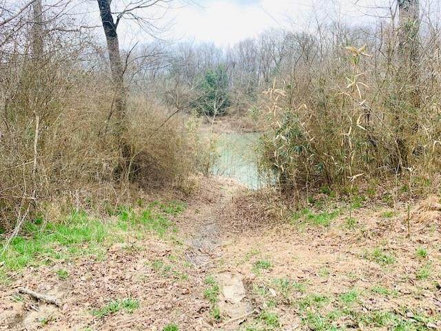 Eagle Fork Rd (Lots 22 &23) Road - Photo 1