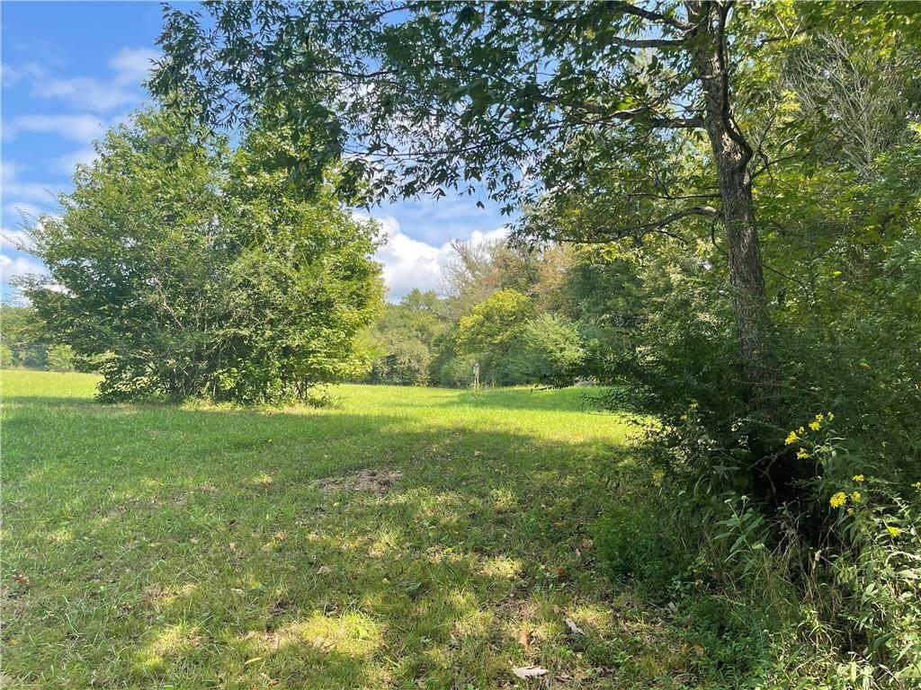 000 Eagle Fork (Lot 15) Road - Photo 1