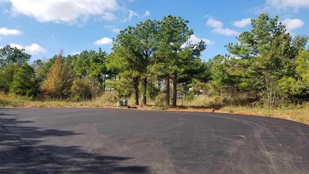 006 Timber Trails - Photo 1