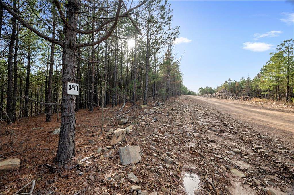 149 Timberline Trail - Photo 1