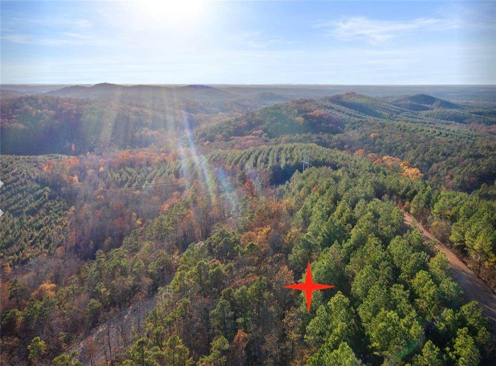 139 Evergreen Vista Loop - Photo 1
