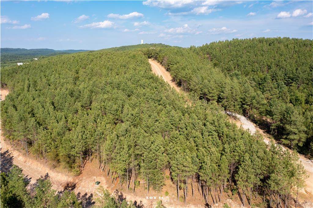84 Timberline Trail - Photo 1