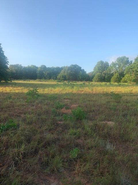 35541 Martin Road - Photo 1