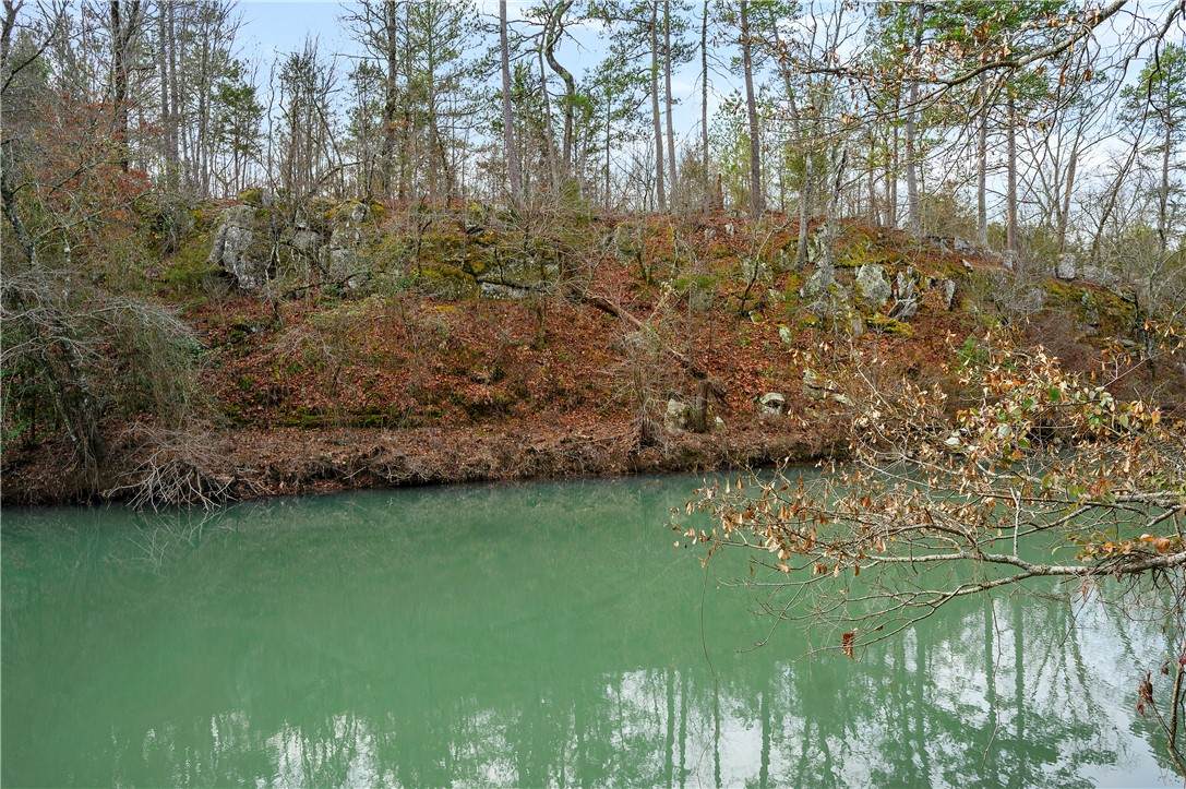 11 Red Tanager Lane - Photo 1