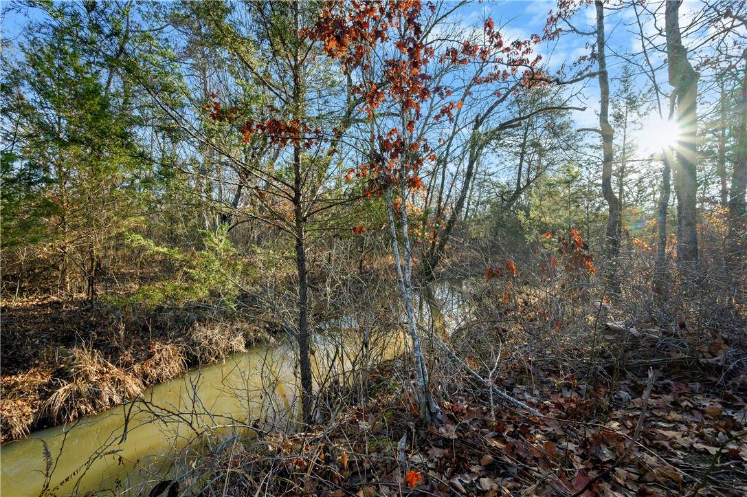 18 Painted Bunting Trail - Photo 1