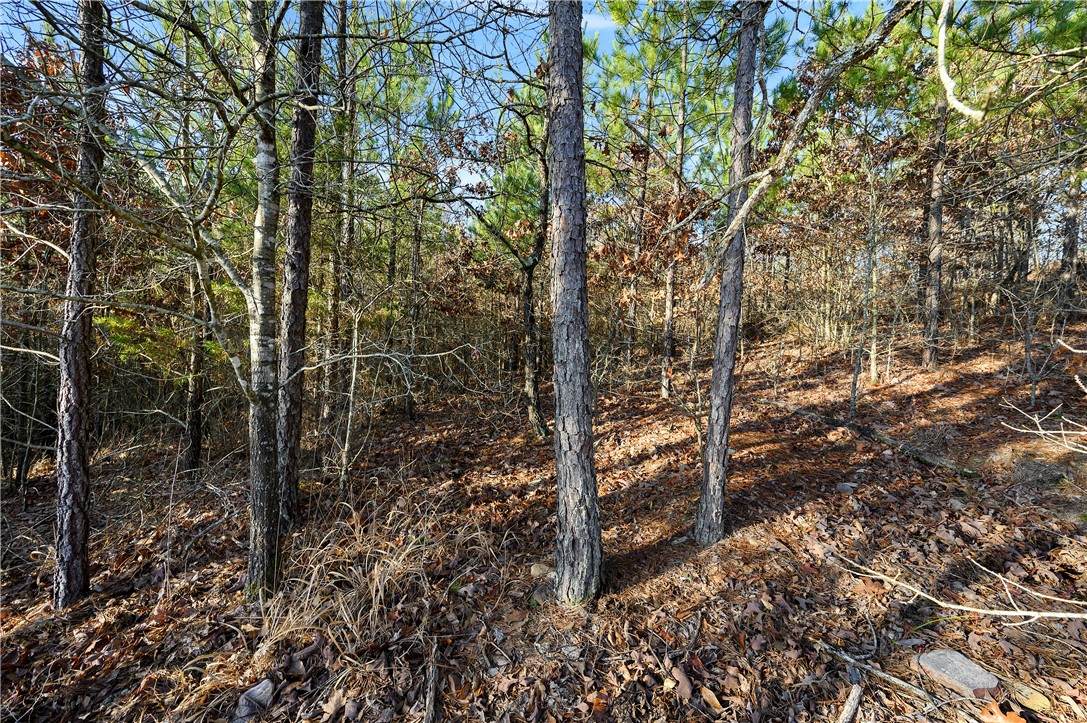 20 Red Bird Ridge - Photo 1