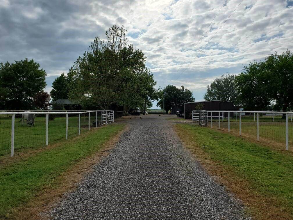 11172 Highway 177 - Photo 1
