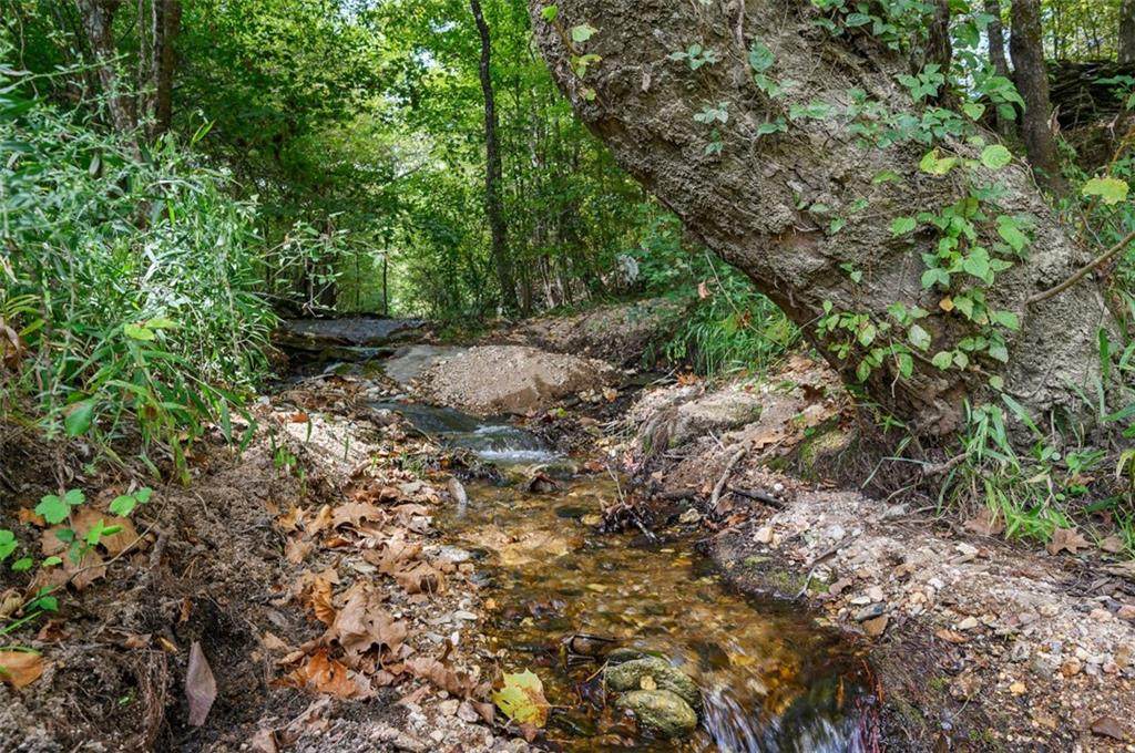 Hidden Pines Loop - Photo 1