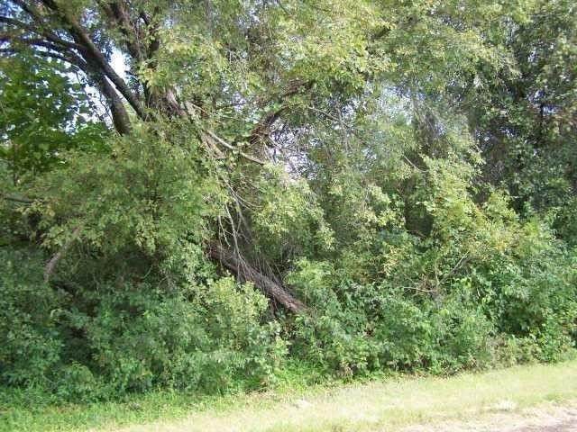 00000 44th Street - Photo 1