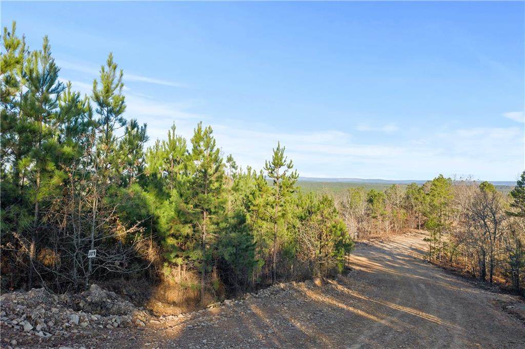 Lot 119 - Photo 1