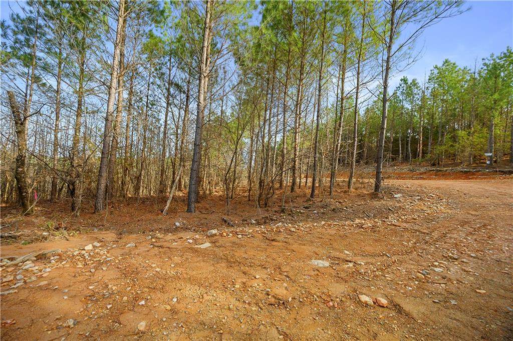 147 Evergreen Vista Loop - Photo 1