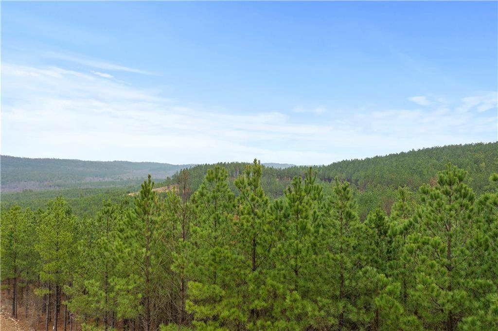 Lot 101 - Photo 1