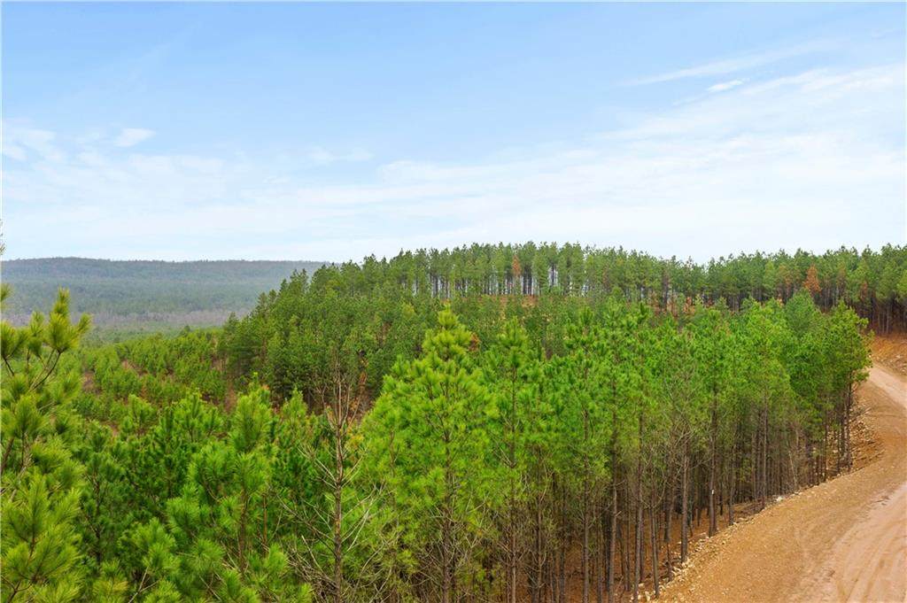 Lot 86 - Photo 1