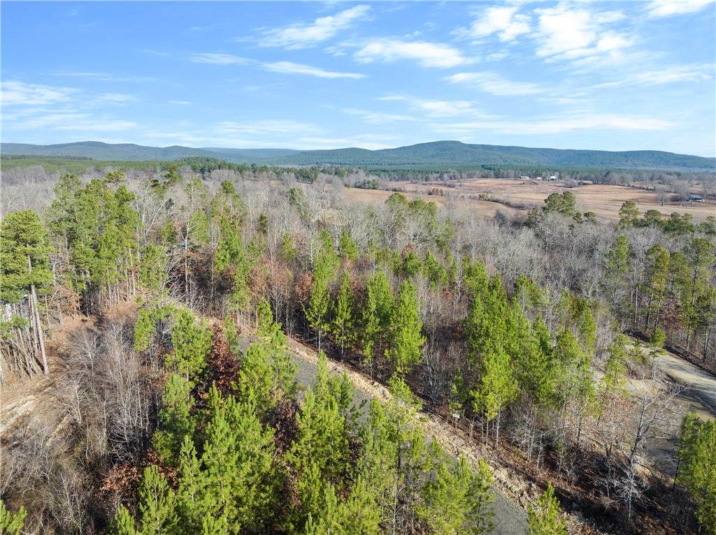 19 Red Bird Ridge - Photo 1